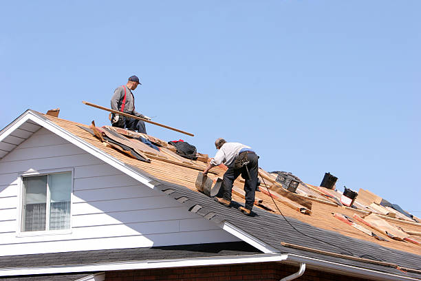 Best Roof Installation  in Capitol View, SC