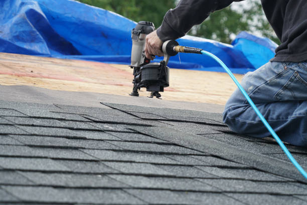 Best Green or Eco-Friendly Roofing Solutions  in Capitol View, SC